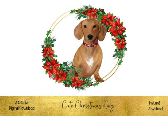 Cute Christmas Dacshund Illustrations