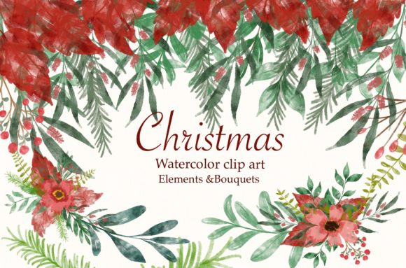 Watercolor Christmas Flower Illustrations